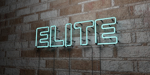 ELITE - Glowing Neon Sign on stonework wall - 3D rendered royalty free stock illustration.  Can be used for online banner ads and direct mailers..