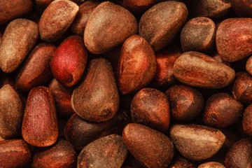 Obraz premium pine nuts in the shell photo, nutshell texture