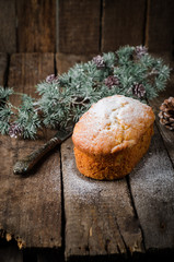 freshly baked cake with icing sugar on wooden background with fir trees branch. Christmas mood. Selective focus