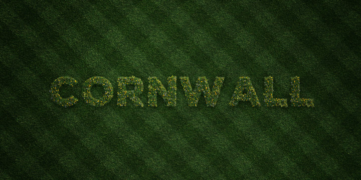 CORNWALL - fresh Grass letters with flowers and dandelions - 3D rendered royalty free stock image. Can be used for online banner ads and direct mailers..