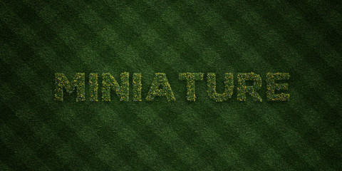 MINIATURE - fresh Grass letters with flowers and dandelions - 3D rendered royalty free stock image. Can be used for online banner ads and direct mailers..