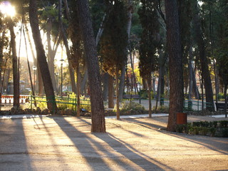 trees park autumn parque