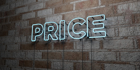 PRICE - Glowing Neon Sign on stonework wall - 3D rendered royalty free stock illustration.  Can be used for online banner ads and direct mailers..