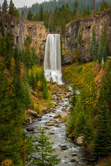 Fototapeta premium Tumalo Falls Oregon