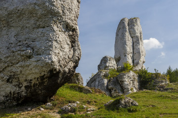 Polish Jurassic Highland