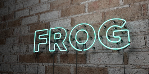 FROG - Glowing Neon Sign on stonework wall - 3D rendered royalty free stock illustration.  Can be used for online banner ads and direct mailers..