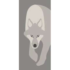 wolf vector illustration style Flat