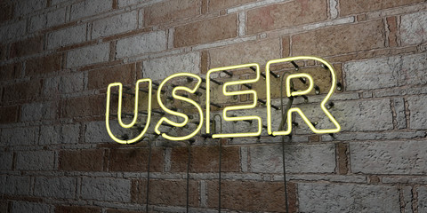 USER - Glowing Neon Sign on stonework wall - 3D rendered royalty free stock illustration.  Can be used for online banner ads and direct mailers..