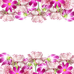 Beautiful background of flowers carnations and cosmos 