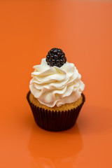 Cupcakes with blackberries on a bright background. Isolated.