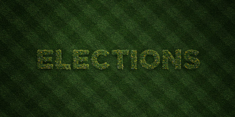 ELECTIONS - fresh Grass letters with flowers and dandelions - 3D rendered royalty free stock image. Can be used for online banner ads and direct mailers..