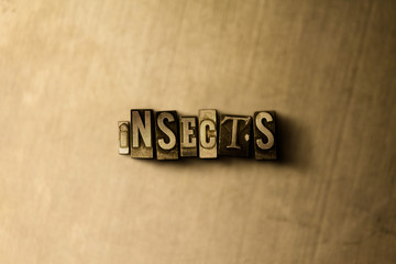 INSECTS - close-up of grungy vintage typeset word on metal backdrop. Royalty free stock - 3D rendered stock image.  Can be used for online banner ads and direct mail.