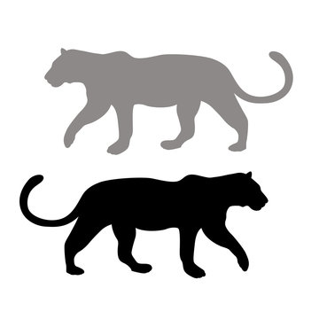 Leopard style vector illustration Flat set