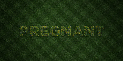 PREGNANT - fresh Grass letters with flowers and dandelions - 3D rendered royalty free stock image. Can be used for online banner ads and direct mailers..