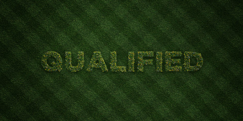 QUALIFIED - fresh Grass letters with flowers and dandelions - 3D rendered royalty free stock image. Can be used for online banner ads and direct mailers..