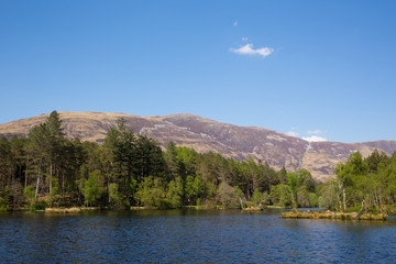 Fototapeta na wymiar Glencoe Lochan area of forest and lake north of Glencoe Village Lochaber Scottish Highlands Scotland UK