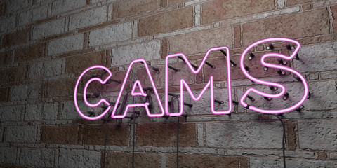 CAMS - Glowing Neon Sign on stonework wall - 3D rendered royalty free stock illustration.  Can be used for online banner ads and direct mailers..