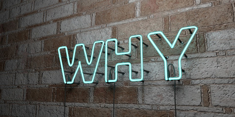 WHY - Glowing Neon Sign on stonework wall - 3D rendered royalty free stock illustration.  Can be used for online banner ads and direct mailers..