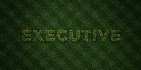 EXECUTIVE - fresh Grass letters with flowers and dandelions - 3D rendered royalty free stock image. Can be used for online banner ads and direct mailers..