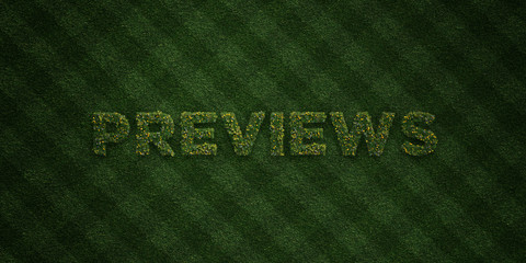 PREVIEWS - fresh Grass letters with flowers and dandelions - 3D rendered royalty free stock image. Can be used for online banner ads and direct mailers..