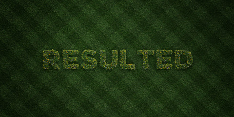 RESULTED - fresh Grass letters with flowers and dandelions - 3D rendered royalty free stock image. Can be used for online banner ads and direct mailers..