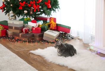 Tabby cat lying on rug near beautiful Christmas tree