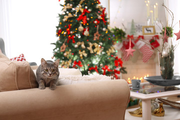Tabby cat on sofa in beautiful living room decorated for Christmas