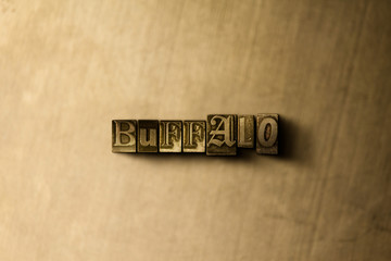 BUFFALO - close-up of grungy vintage typeset word on metal backdrop. Royalty free stock - 3D rendered stock image.  Can be used for online banner ads and direct mail.