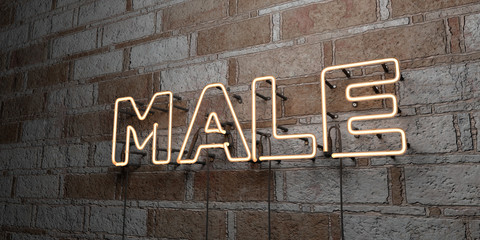 MALE - Glowing Neon Sign on stonework wall - 3D rendered royalty free stock illustration.  Can be used for online banner ads and direct mailers..