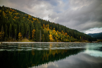 Forest reflection in lake water in Carpathians, autumn 2016