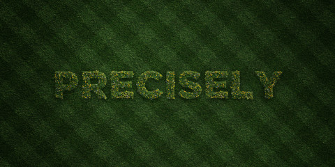 PRECISELY - fresh Grass letters with flowers and dandelions - 3D rendered royalty free stock image. Can be used for online banner ads and direct mailers..