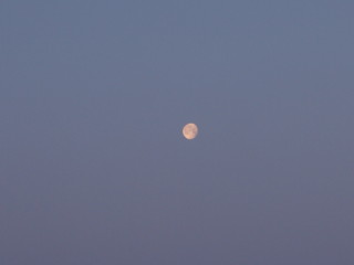Луна в вечернем небе 