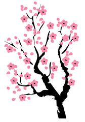 Vector Cherry Blossom