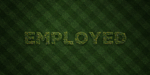 EMPLOYED - fresh Grass letters with flowers and dandelions - 3D rendered royalty free stock image. Can be used for online banner ads and direct mailers..