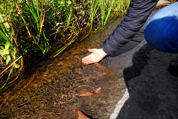 Human hand touching water
