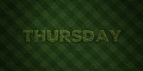 THURSDAY - fresh Grass letters with flowers and dandelions - 3D rendered royalty free stock image. Can be used for online banner ads and direct mailers..