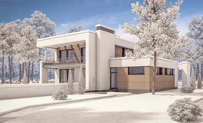 3d rendering of modern winter house