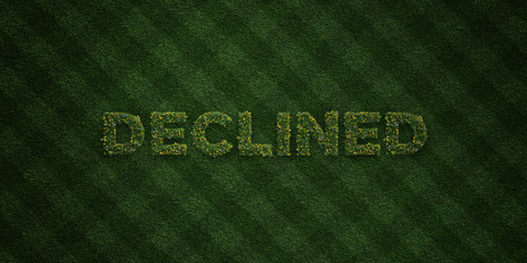 DECLINED - fresh Grass letters with flowers and dandelions - 3D rendered royalty free stock image. Can be used for online banner ads and direct mailers..