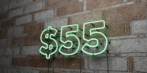 $55 - Glowing Neon Sign on stonework wall - 3D rendered royalty free stock illustration.  Can be used for online banner ads and direct mailers..