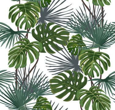 Tropical leaves on a white background. Seamless pattern.
