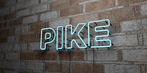 PIKE - Glowing Neon Sign on stonework wall - 3D rendered royalty free stock illustration.  Can be used for online banner ads and direct mailers..
