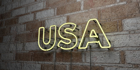 USA - Glowing Neon Sign on stonework wall - 3D rendered royalty free stock illustration.  Can be used for online banner ads and direct mailers..
