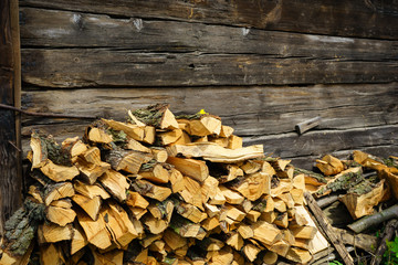 Logs stacked at the hut