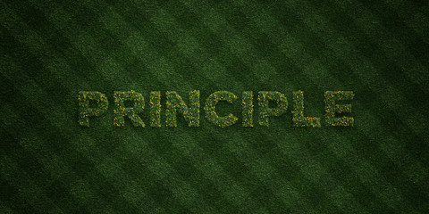 PRINCIPLE - fresh Grass letters with flowers and dandelions - 3D rendered royalty free stock image. Can be used for online banner ads and direct mailers..