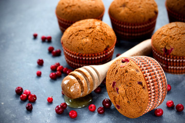 Honey muffins with cranberries