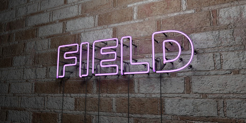 FIELD - Glowing Neon Sign on stonework wall - 3D rendered royalty free stock illustration.  Can be used for online banner ads and direct mailers..