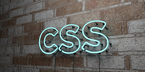 CSS - Glowing Neon Sign on stonework wall - 3D rendered royalty free stock illustration.  Can be used for online banner ads and direct mailers..