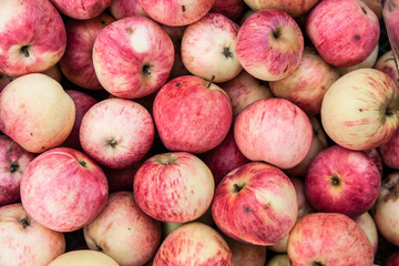 Red apples background, top view