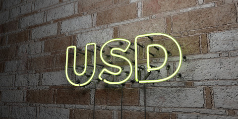 USD - Glowing Neon Sign on stonework wall - 3D rendered royalty free stock illustration.  Can be used for online banner ads and direct mailers..