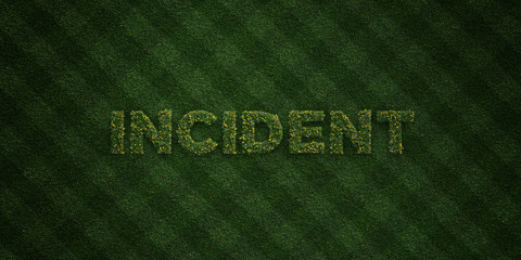 INCIDENT - fresh Grass letters with flowers and dandelions - 3D rendered royalty free stock image. Can be used for online banner ads and direct mailers..